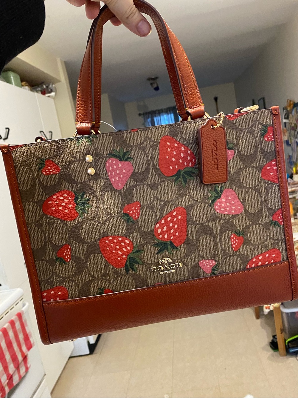 Coach Brown Signature Strawberries Satchel with Red & Pink Accents